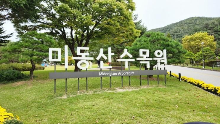 미동산수목원/청주가볼만한곳/청주미동산수목원/청주수목