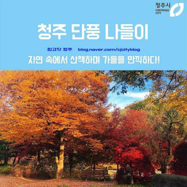 청주 단풍 나들이 / 미동산수목원; 자연 속에서 산책하며...