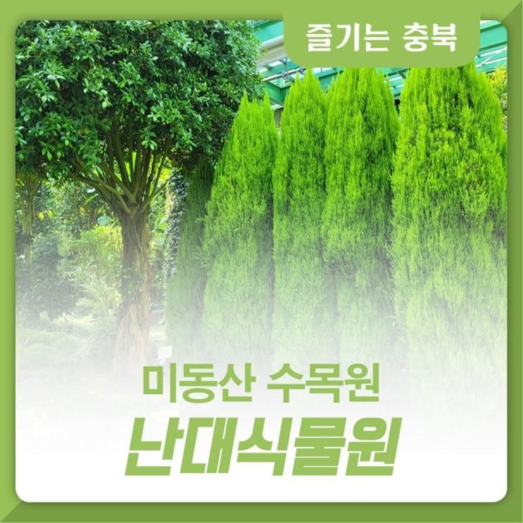 사계절 푸른 숲을 볼 수 있는 청주 미동산수목원 난대식물원