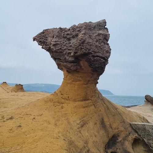 2) 예류(野柳)지질공원에서 후투티까지