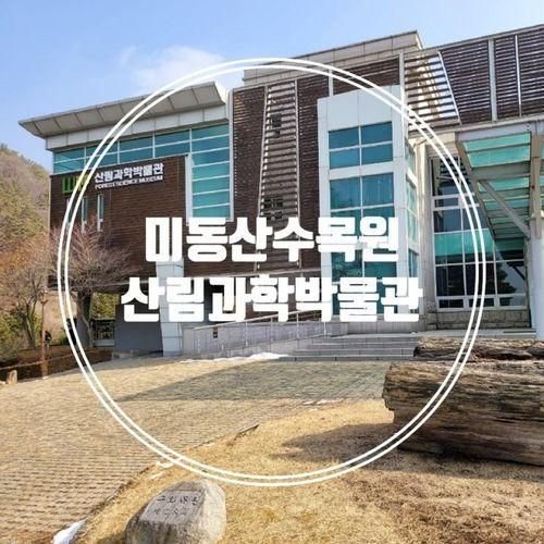 대전근교 가볼만한곳 미동산수목원 산림과학박물관