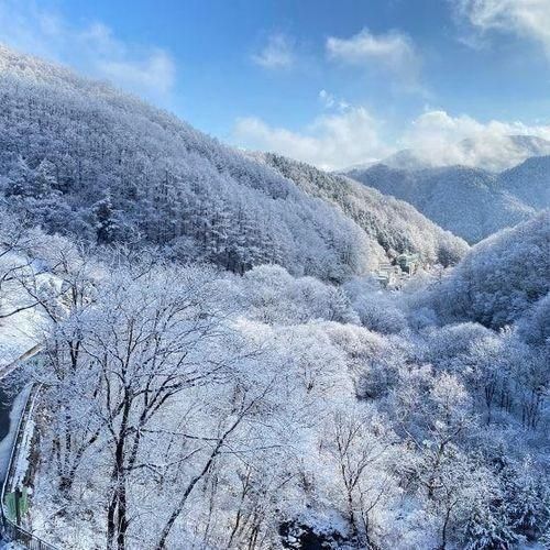 춘천 가볼만한곳 / 이상원미술관 뮤지엄스테이 / 미술공방...