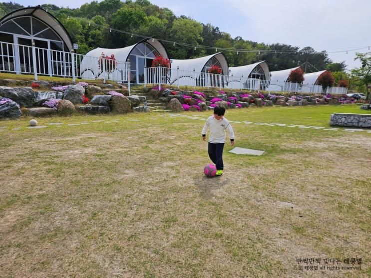 경남 진주 글램핑 신상 애견동반 내동 피카푸 피크닉앤글램핑