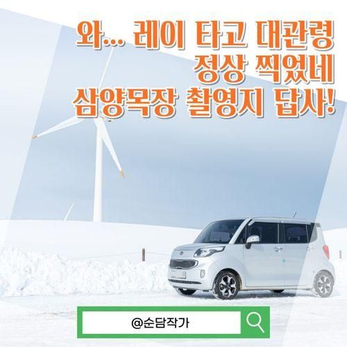 강원도 여행지 추천! 사진촬영 답사차 다녀온 대관령 삼양목장