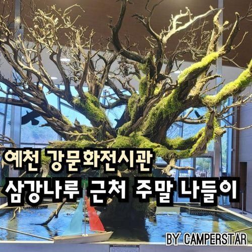 예천 강문화전시관 주말 나들이