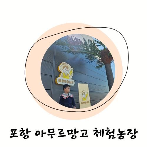 포항 신상 체험농장 아무르망고