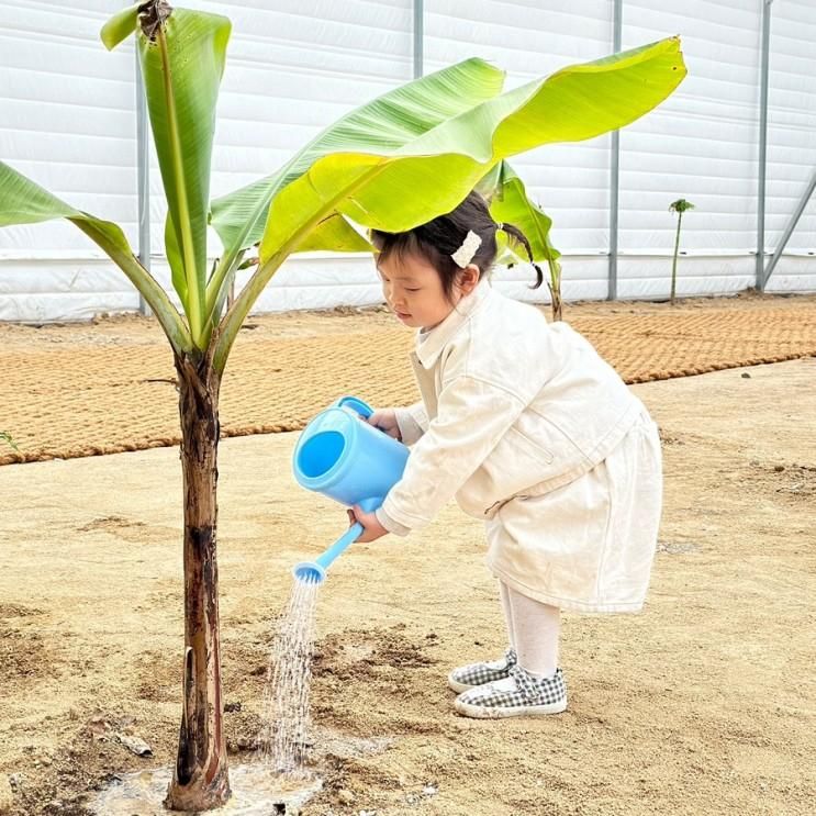 포항 아기랑 갈만한 곳... 농장 우드캐빈 체험농장 아무르망고