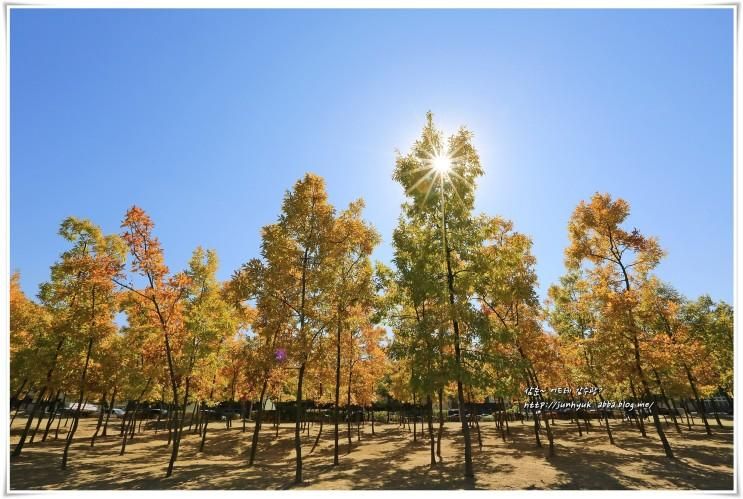 경기도 주말나들이/산책로 오산 고인돌공원,죽미령평화공원