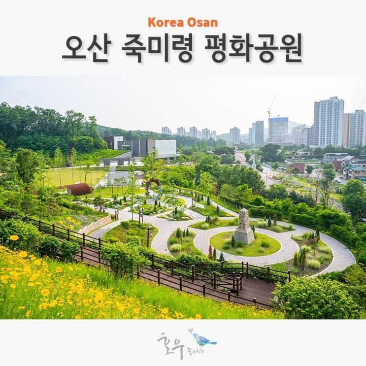 오산 죽미령평화공원 6월 수원근교 나들이 경기남부 오산...