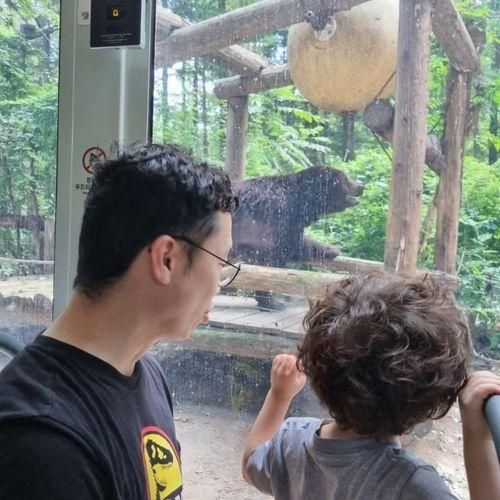 곳] 에버랜드 사파리월드... 폭염주의), 장미원 워터플레이야드