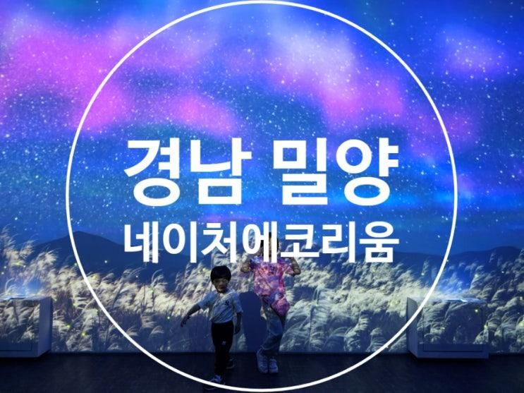 밀양 네이처에코리움 선샤인테마파크 방문후기