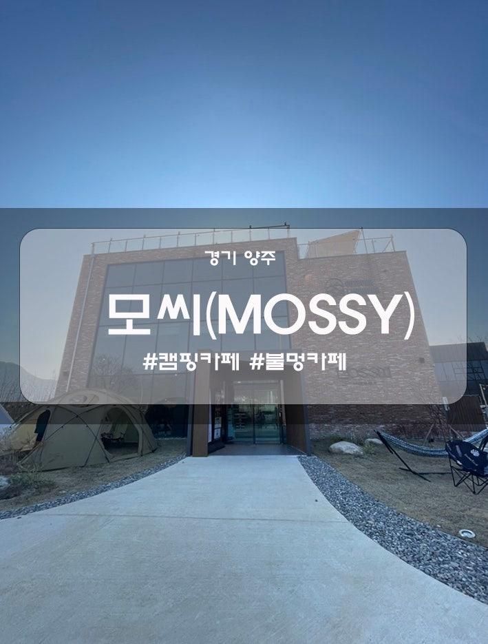 [양주] 캠핑컨셉의 대형 베이커리카페, 모씨(MOSSY)