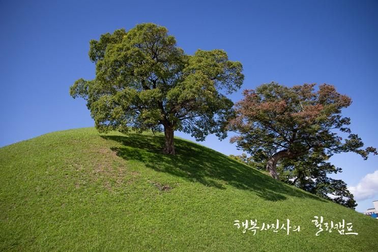 경주 가볼만한 곳, 경주 노동동 고분군(古墳群)과 신라대종...