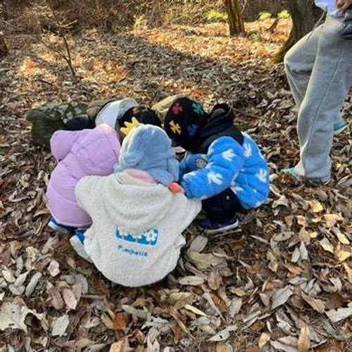 11월의 민토리숲 후기 | 5살 아이와 여행, 재방문, 예약방법