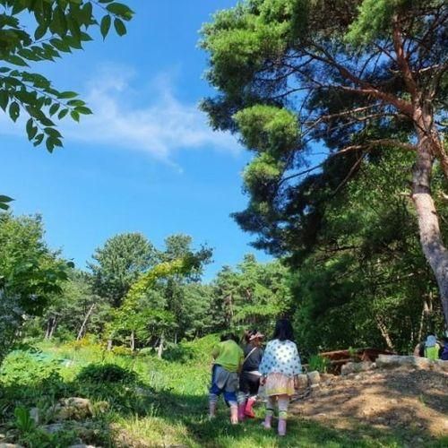 포천 서운동산,  2019년 여름 민토리 숲학교 사진 기록