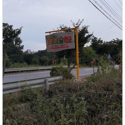 포천 민토리 숲학교