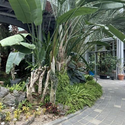 좋은 열대 식물원 유기농산업복합서비스지원단지 열대식물원