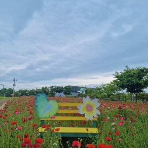 [청주 열대식물원] 대전근교 유모차산책 - 아기와 함께 청주...