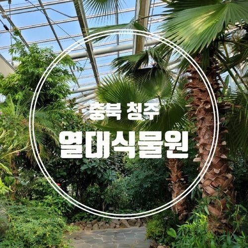 청주 열대식물원 겨울 실내데이트 아이와 가볼만한곳