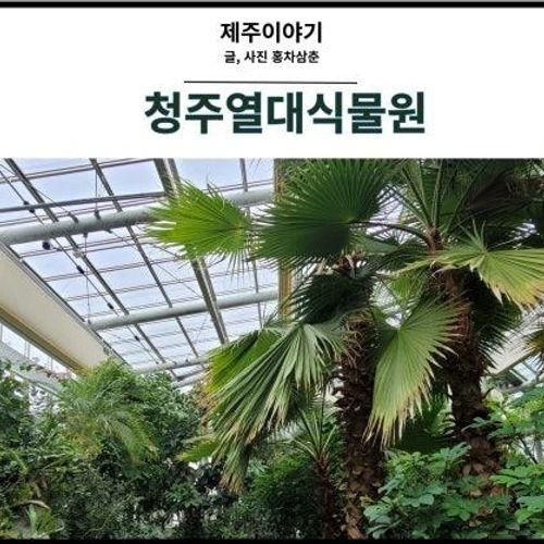 겨울 실내여행, 청주 농업기술센터 열대식물원을 가다