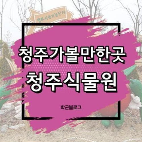 청주 가볼만한곳 열대식물원 실내나들이 추천