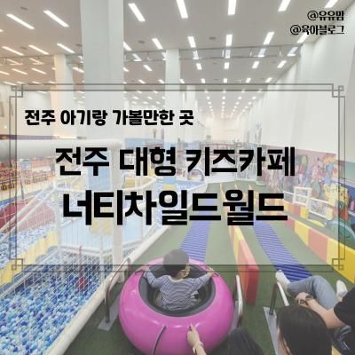 전주 초대형 키즈카페, 너티차일드월드 전주점