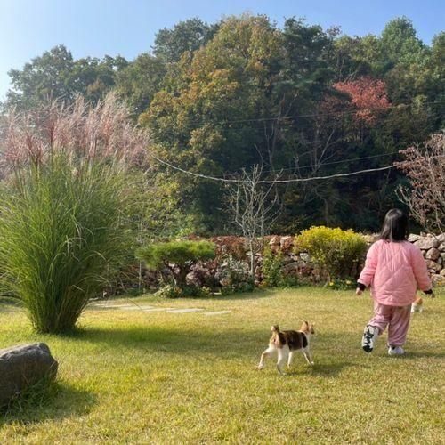 이천 독채펜션 ) 호텔 오가 예약프라이빗한 시간 보내기