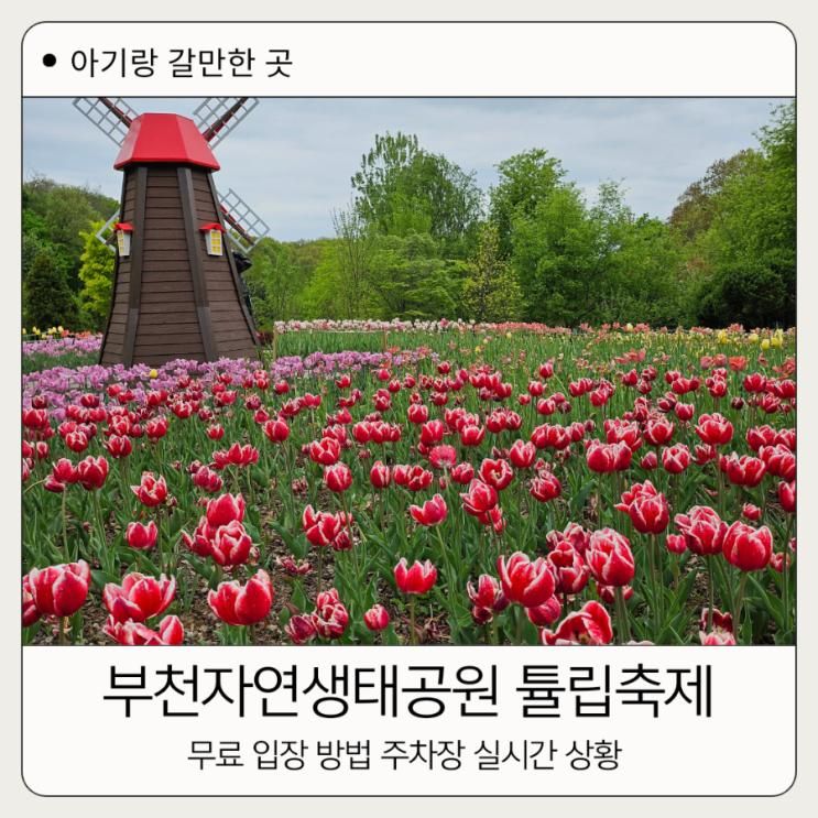 부천자연생태공원 무릉도원수목원 튤립 축제 아기랑 갈만한곳...