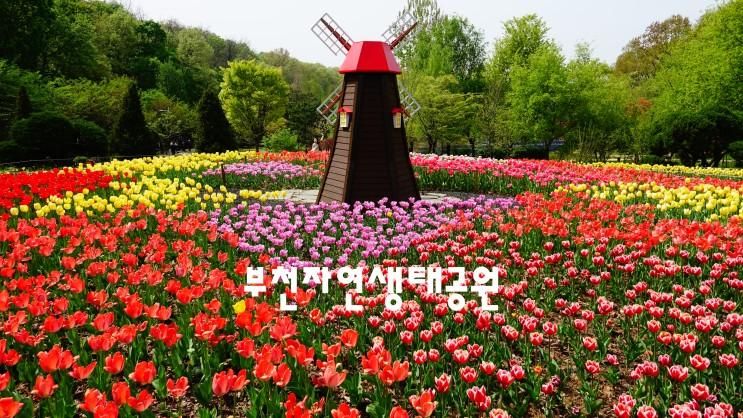 부천자연생태공원(무릉도원수목원/박물관/식물원)의 수목원...