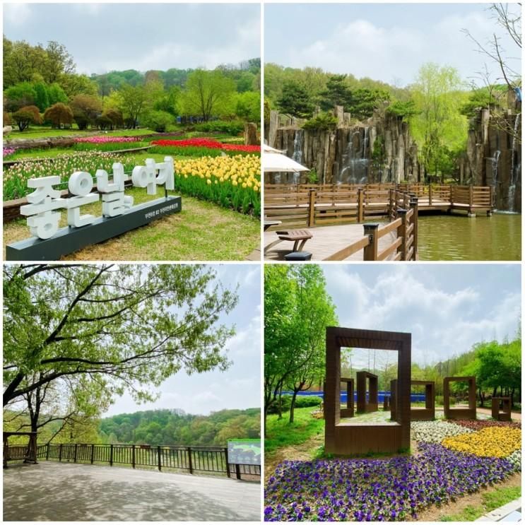 부천 꽃구경 - 2부. 무릉도원수목원 (부천자연생태공원)