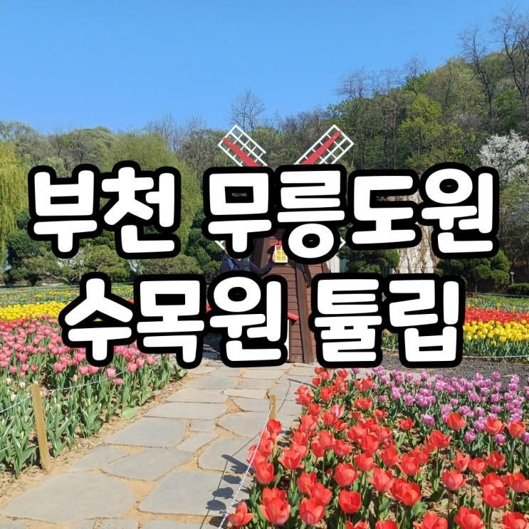 부천 무릉도원 수목원 튤립,벚꽃 가볼만한곳 아이와 서울근교...