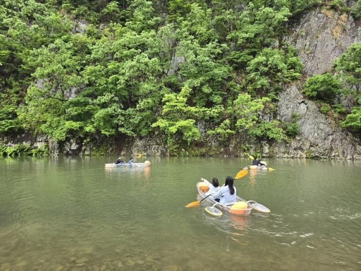 논산뷰카페 카페벌곡 카약타는카페 논산나들이...