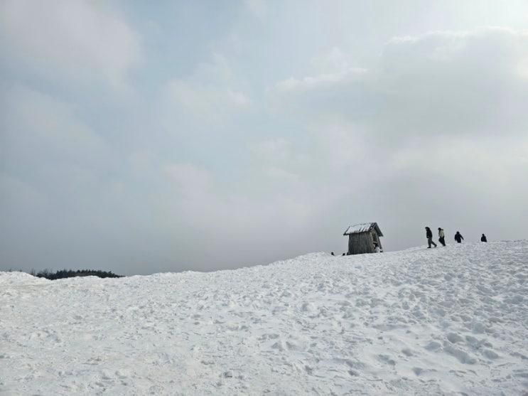 강원도여행 설악산,양양 낙산사,대관령 양떼목장