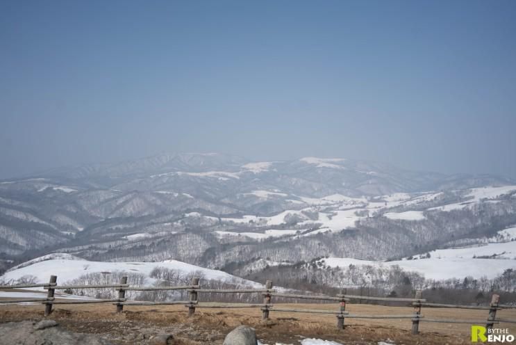 강원도 가족여행 삼양라운드힐 + 낙산사 편안한 코스!