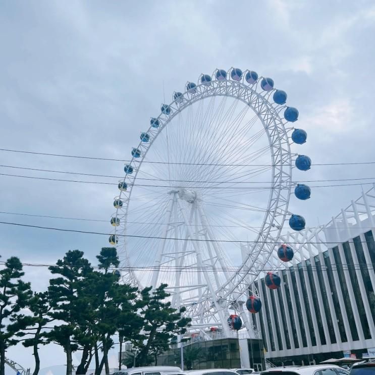 속초 가볼만한곳 낙산사, 속초아이 대관람차,메리고라운드...