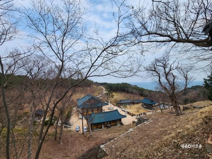 [강원] 속초 양양 관광명소 낙산사