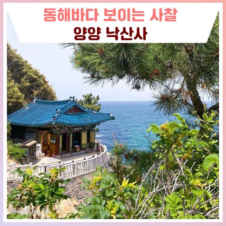 동해바다가 보이는 사찰 양양 낙산사 [강원특별자치도...