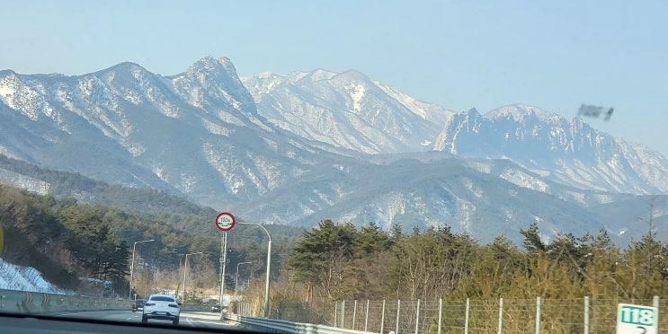 속초 맛집 "봉포 머구리집", 낙산사,