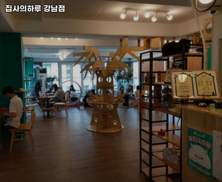 역삼동 키즈카페 집사의하루 강남점 가격이벤트주차운영시간