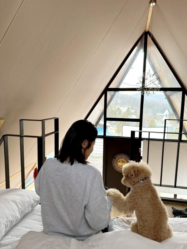 가평 스페인마을 풀램핑, 애견동반 온수풀 수영장 풀빌라 독채...
