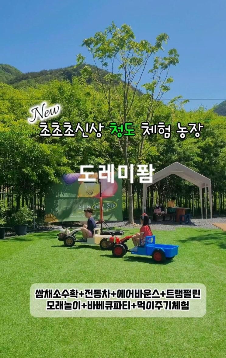청도 실내 놀이터 체험 농장 팜크닉 도레미퐘