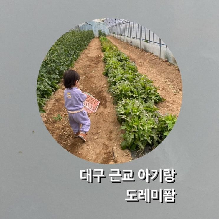 대구 근교 아기랑]신상이라 깨끗한 팜크닉 '도레미퐘...