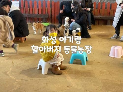 화성 아기랑 갈만한 곳 : 할아버지 동물농장 강아지 좋아하는...