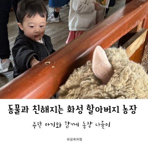 [화성/수원] 주말 아기와 시간순삭 가능한 할아버지 동물농장