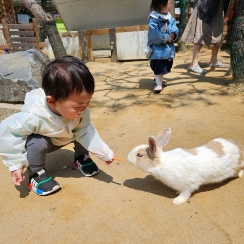 경기 화성 아이랑 갈만한곳, 할아버지 동물농장(3살,6살...