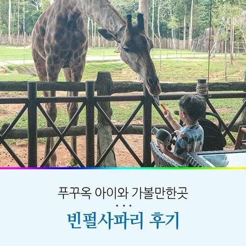 베트남 푸꾸옥 빈펄 사파리 후기 시간 입장권 트램 가격...