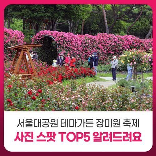 서울대공원 테마가든 장미원 축제 사진 스팟 TOP5 알려드려요