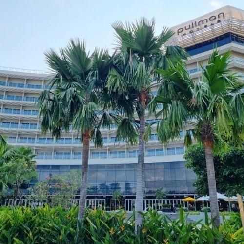 [푸꾸옥여행] 풀만푸꾸옥비치리조트 공항픽업서비스 오션뷰...