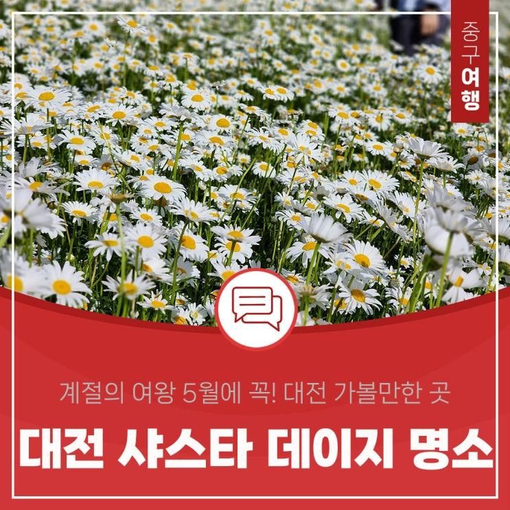 대전 가볼 만한 곳 샤스타데이지 명소, 중촌근린공원