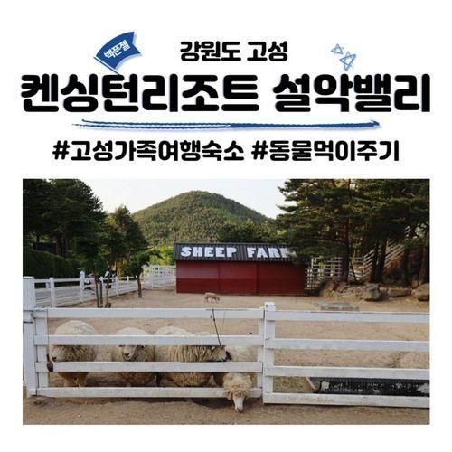 켄싱턴리조트 설악밸리 부대시설 사슴먹이주기/룸서비스...